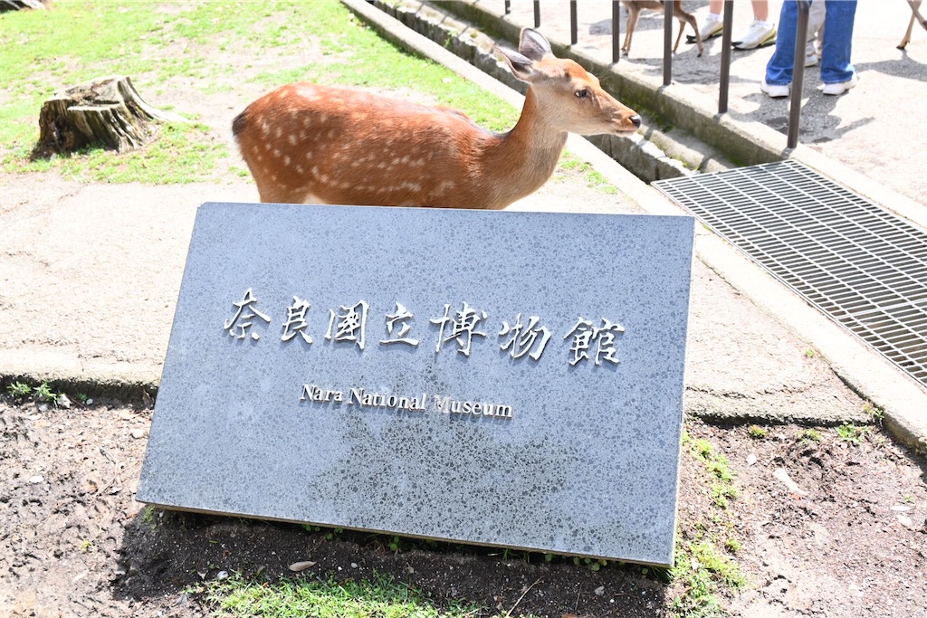 f:id:mp87:20240601225942j:image