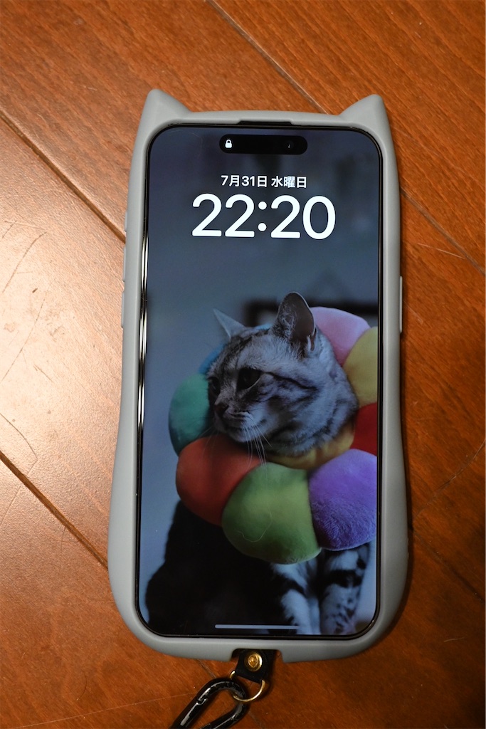 f:id:mp87:20240731230050j:image