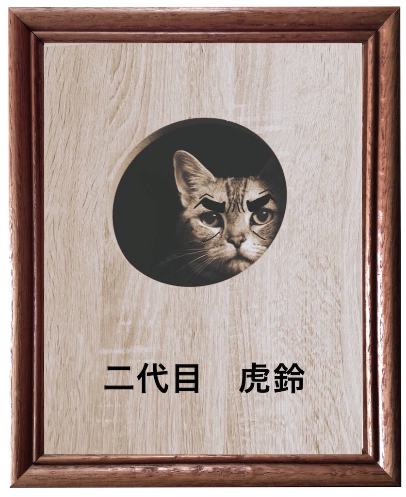 f:id:mp87:20240803013105j:image