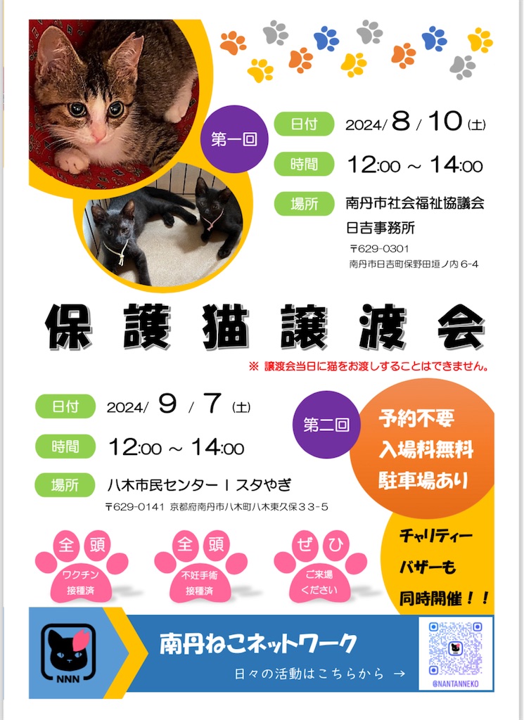 f:id:mp87:20240810225137j:image