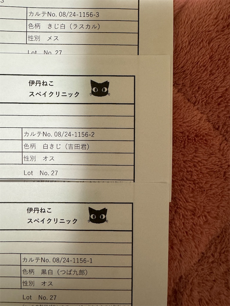 f:id:mp87:20240824205359j:image