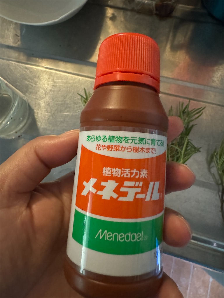 f:id:mp87:20240827212818j:image