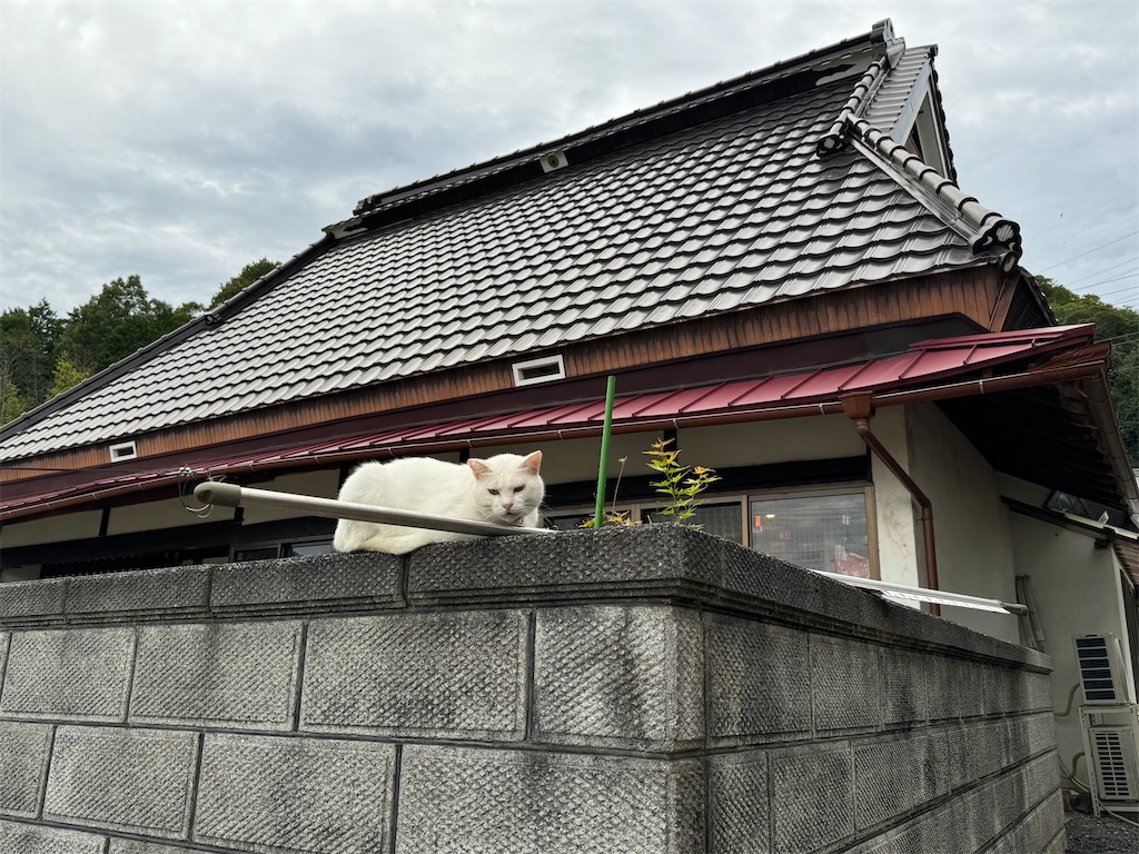 f:id:mp87:20240830222431j:image