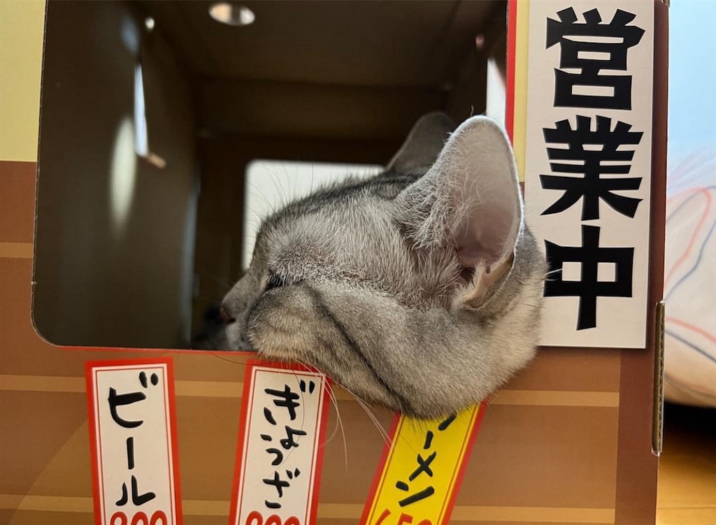 f:id:mp87:20240902222910j:image