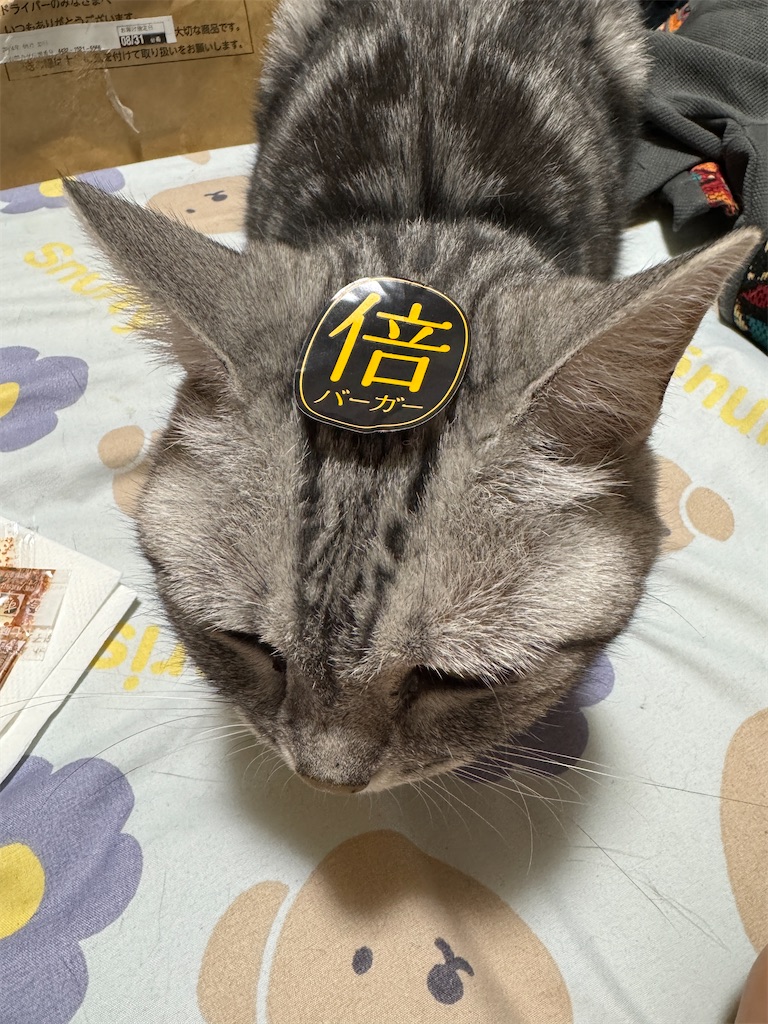f:id:mp87:20240906224444j:image f:id:mp87:20240906224444j:image