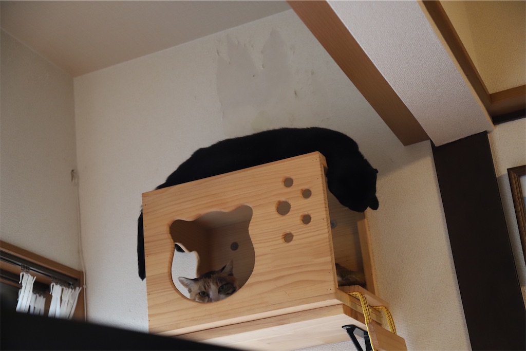f:id:mp87:20240911002149j:image f:id:mp87:20240911002149j:image