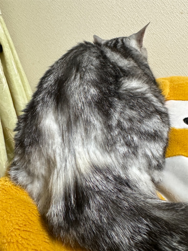 f:id:mp87:20240912215029j:image