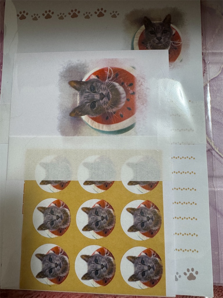 f:id:mp87:20240924232706j:image