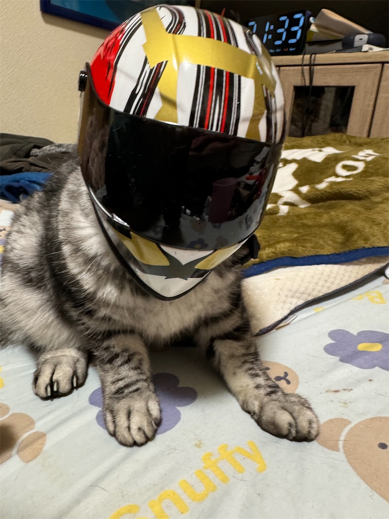 f:id:mp87:20241012215536j:image