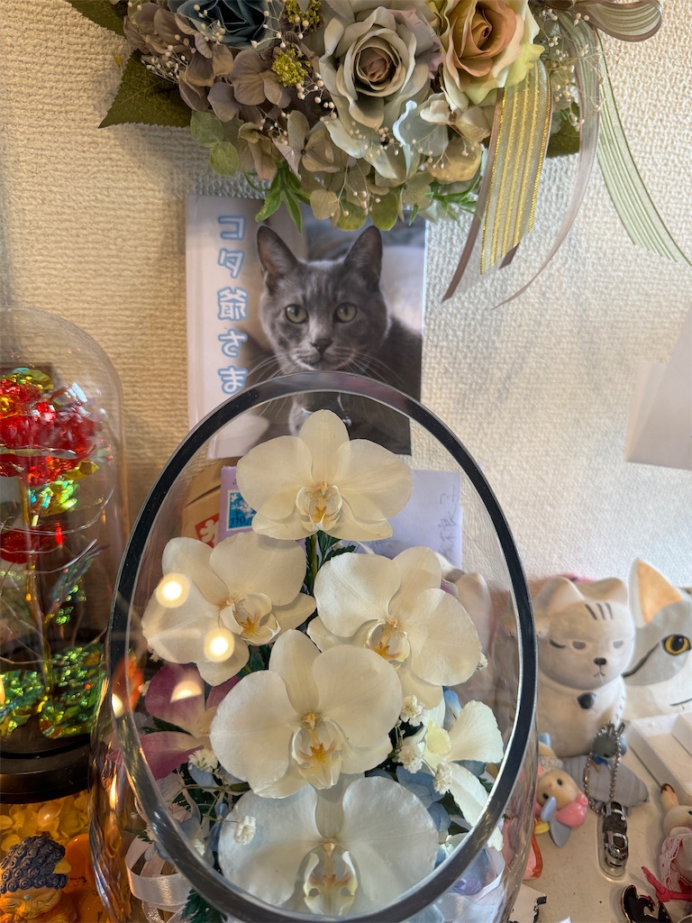 f:id:mp87:20241016205207j:image