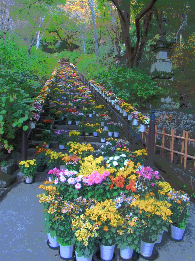 f:id:mp87:20241103225713j:image