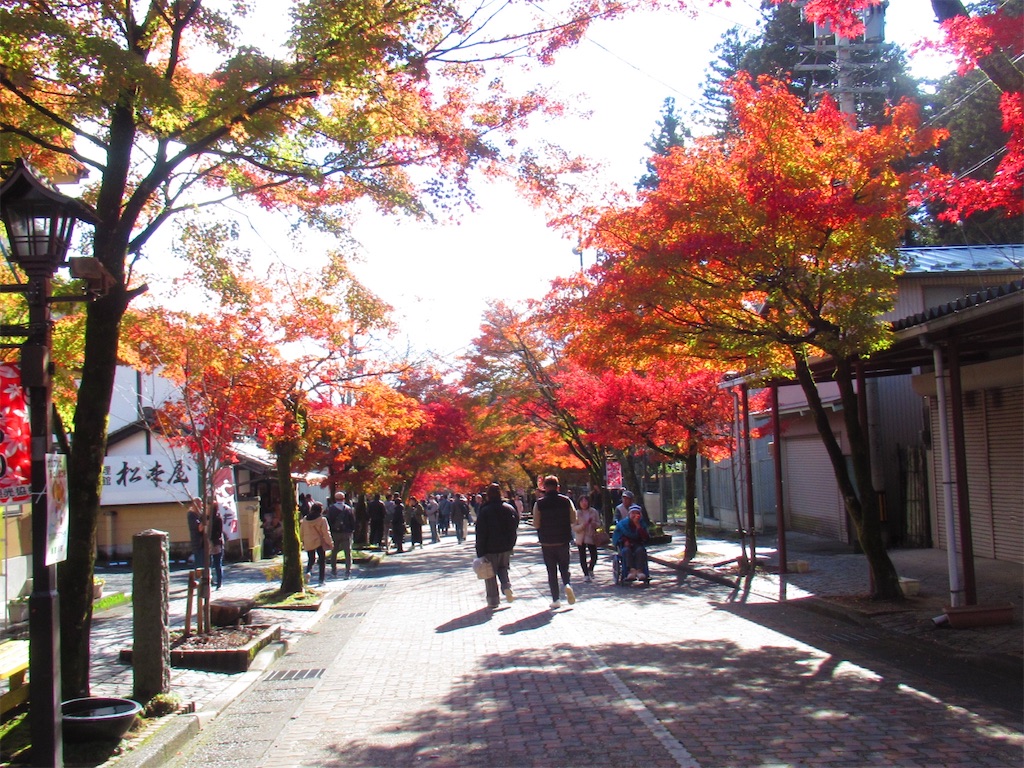 f:id:mp87:20241201220609j:image