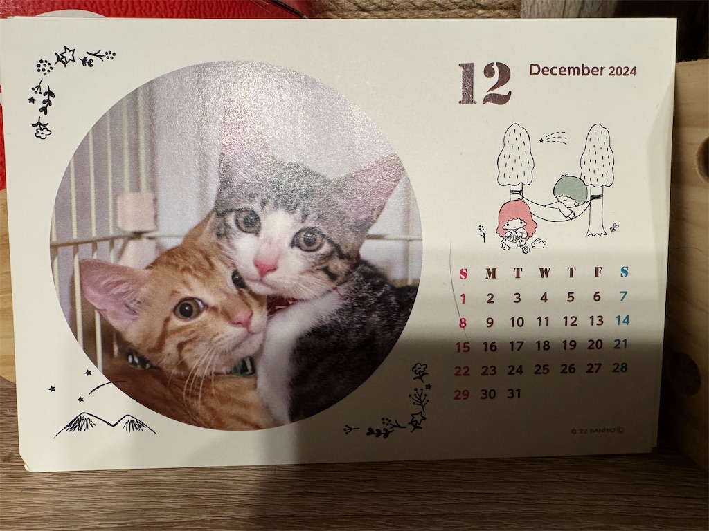 f:id:mp87:20241205221955j:image