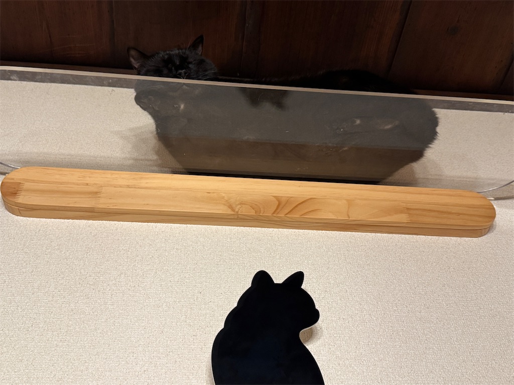 f:id:mp87:20241213212703j:image