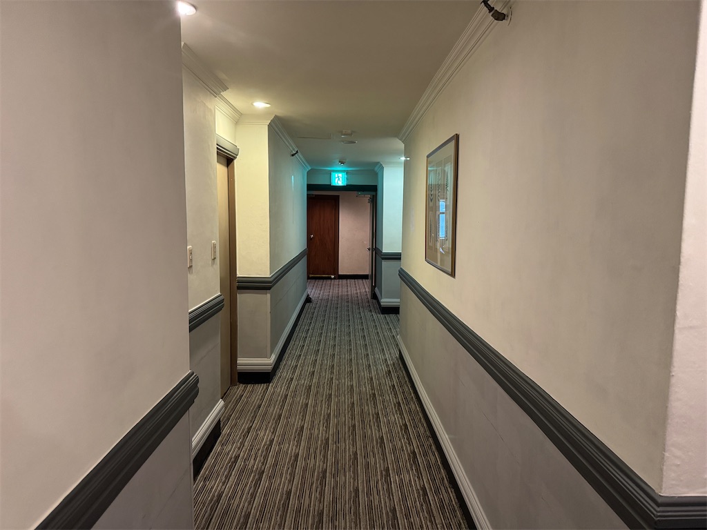 f:id:mp87:20241220194820j:image
