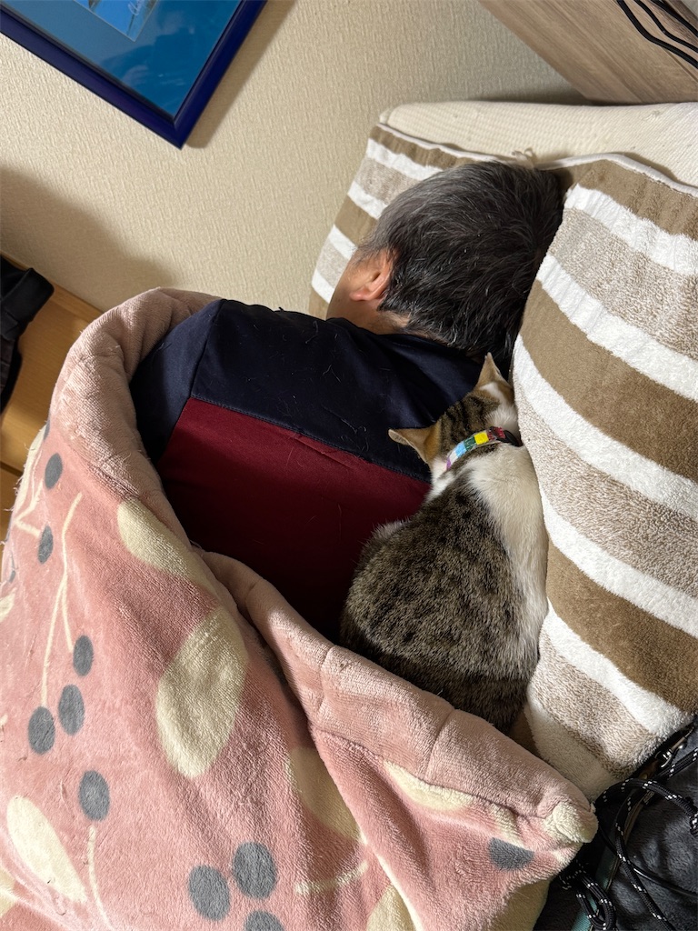 f:id:mp87:20241226032952j:image