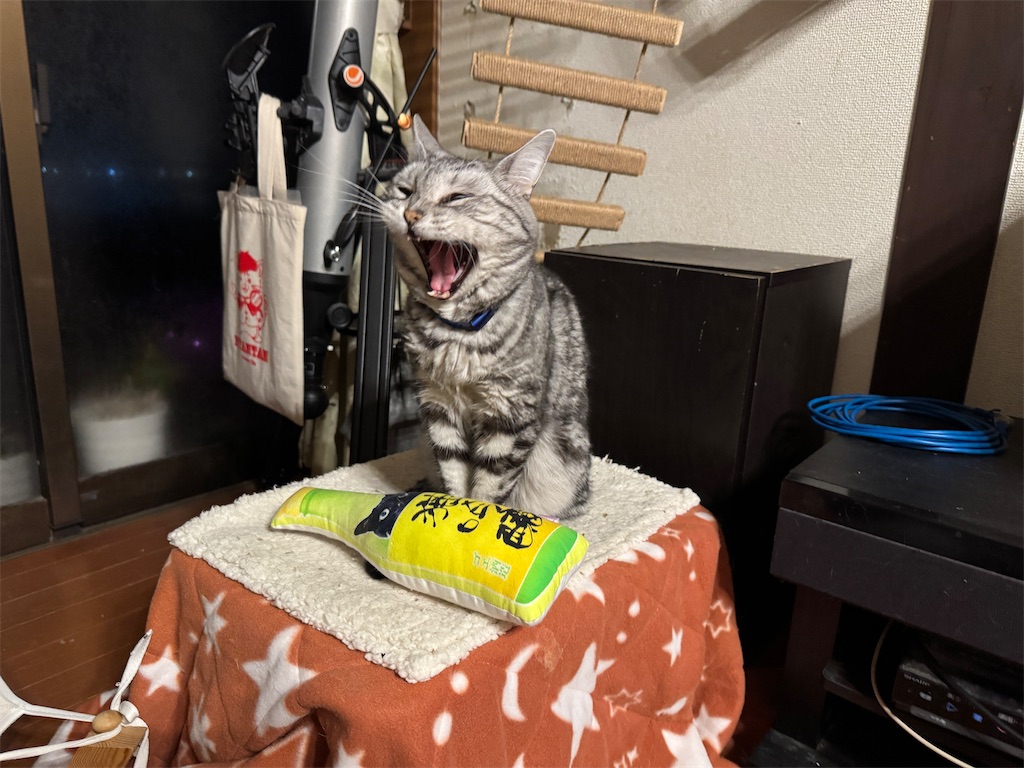 f:id:mp87:20250107210154j:image