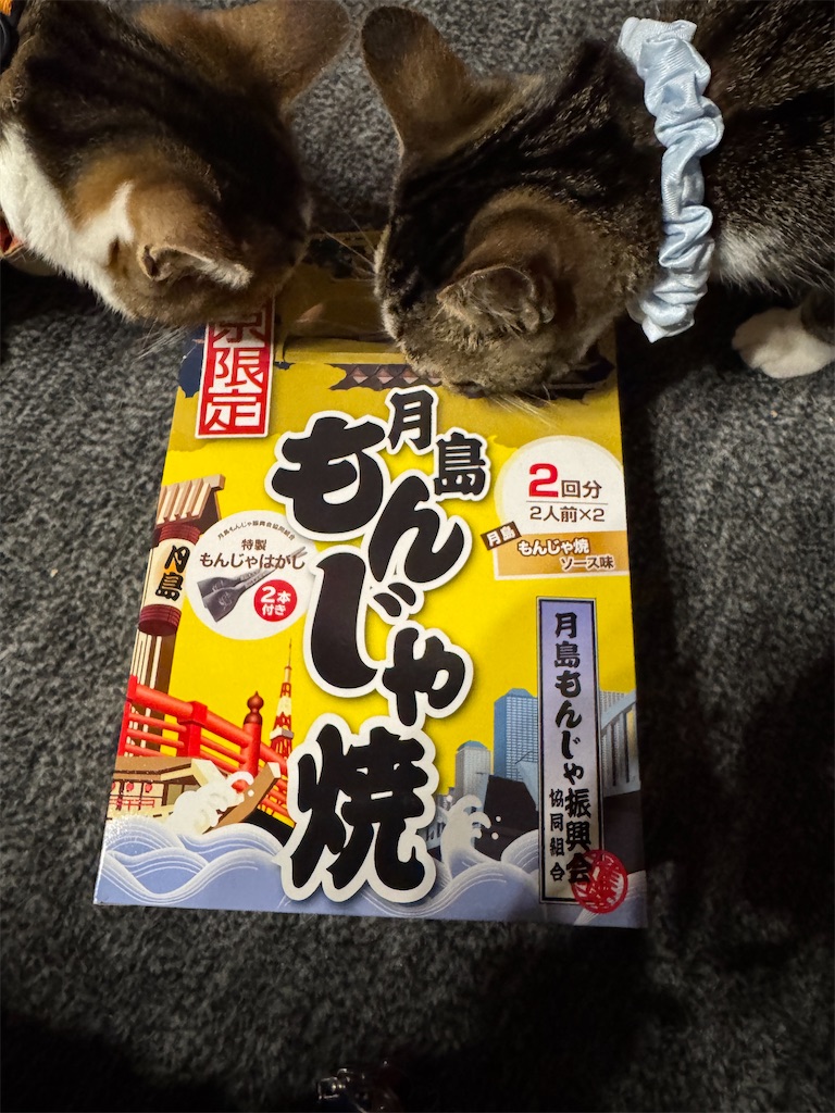 f:id:mp87:20250118222419j:image f:id:mp87:20250118222419j:image