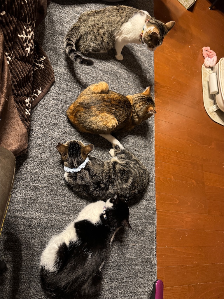 f:id:mp87:20250122210903j:image