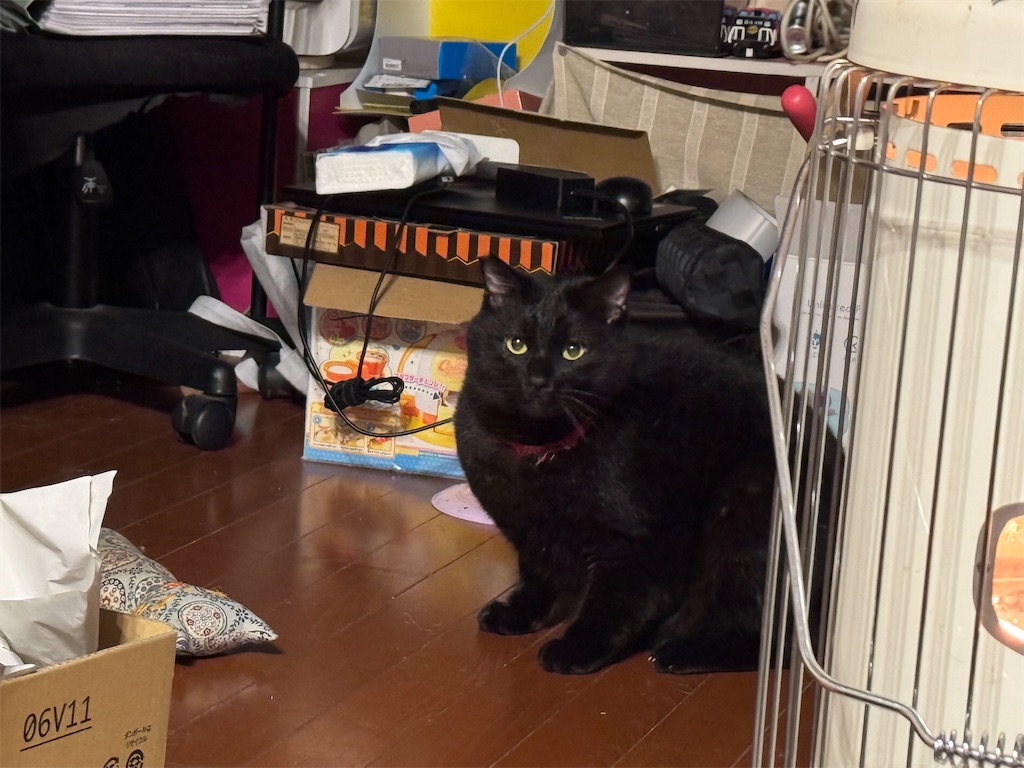 f:id:mp87:20250124204258j:image f:id:mp87:20250124204258j:image