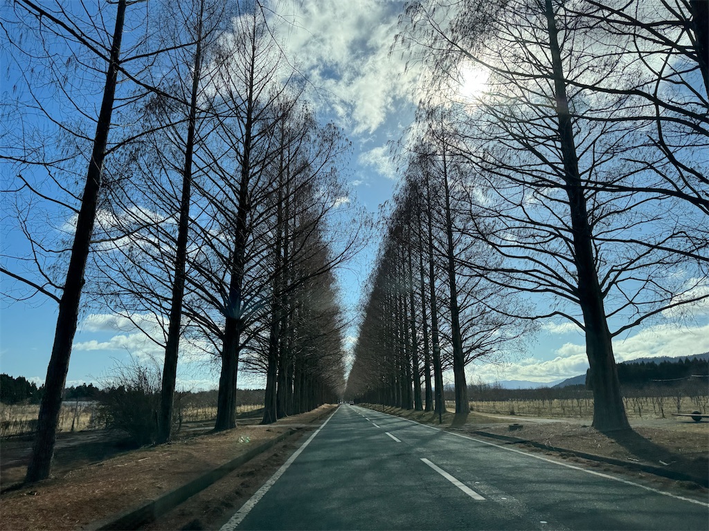 f:id:mp87:20250126220108j:image