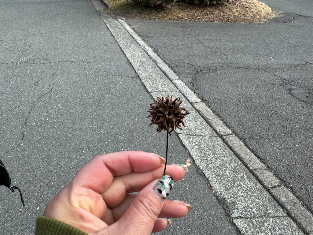 f:id:mp87:20250126220919j:image