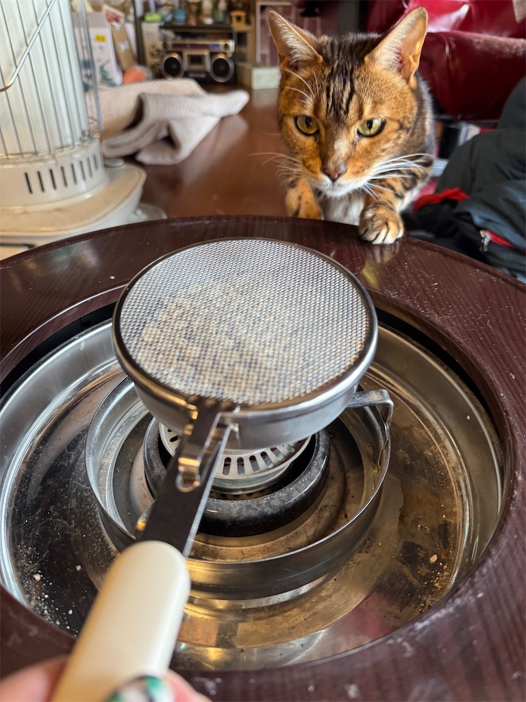 f:id:mp87:20250202200604j:image