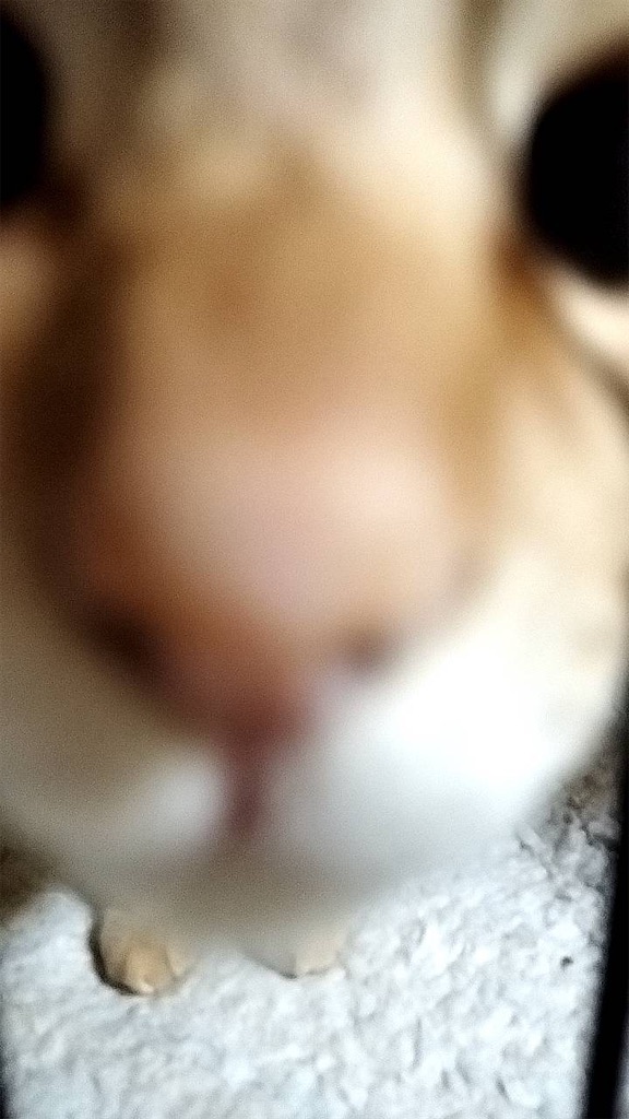 f:id:mp87:20250203213947j:image f:id:mp87:20250203213947j:image