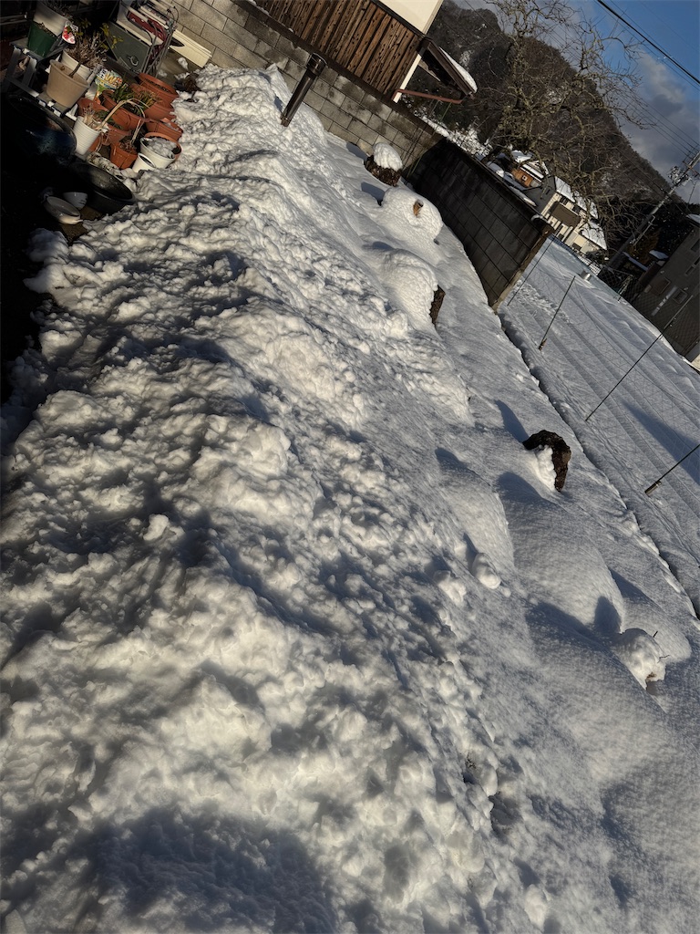 f:id:mp87:20250209183602j:image