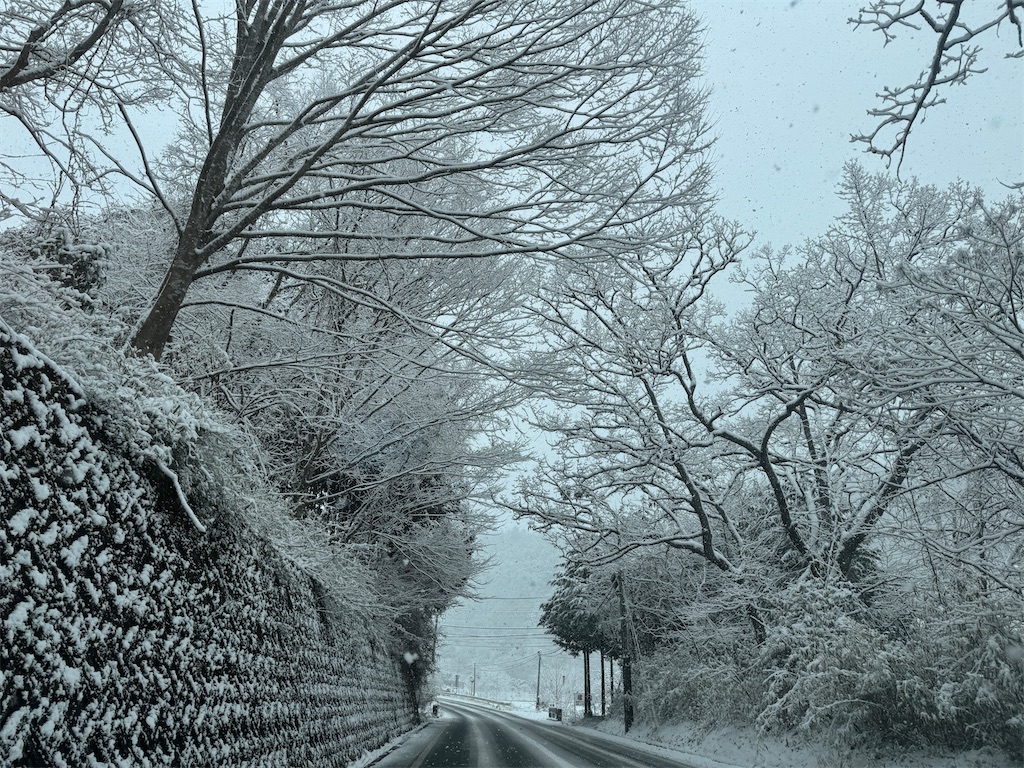 f:id:mp87:20250224212607j:image