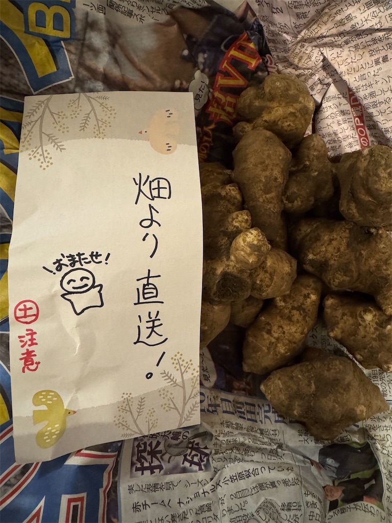 f:id:mp87:20250301223914j:image