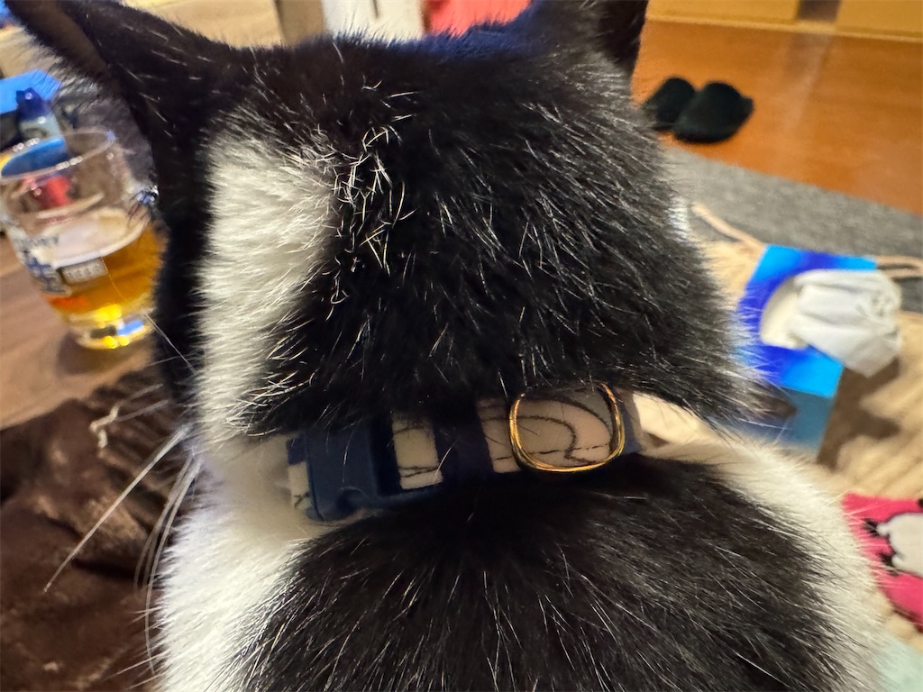 f:id:mp87:20250302221256j:image