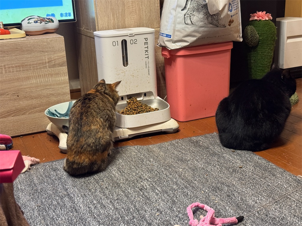 f:id:mp87:20250303210956j:image