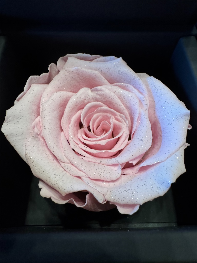 f:id:mp87:20250314205208j:image