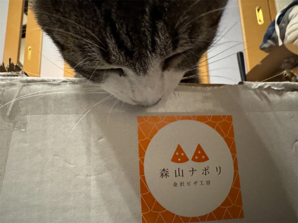 f:id:mp87:20250315232527j:image