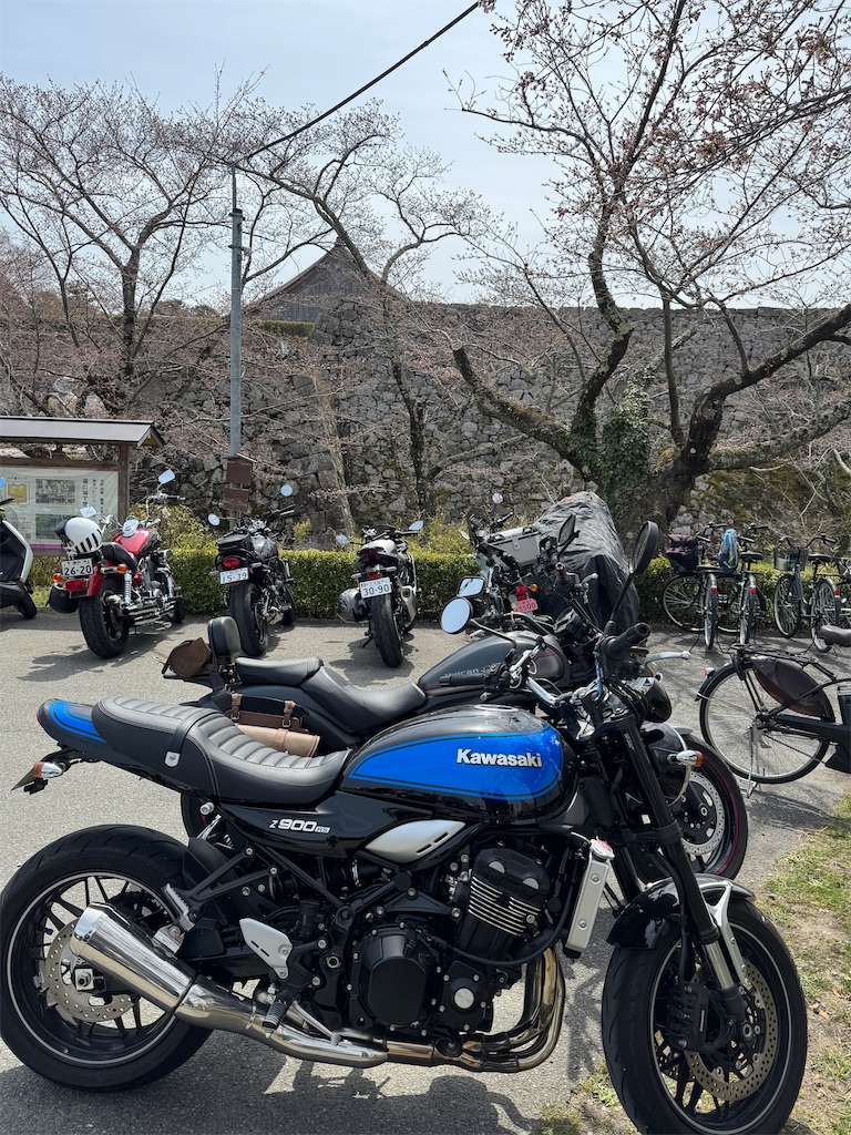 f:id:mp87:20250405205724j:image