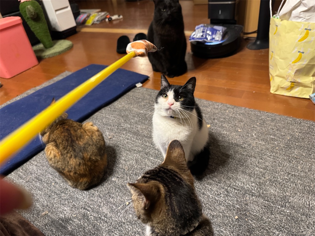 f:id:mp87:20250407212749j:image