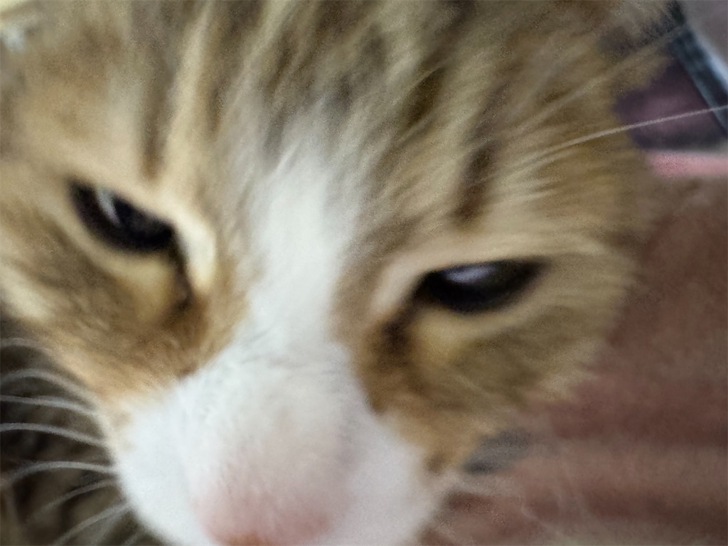 f:id:mp87:20250417210144j:image