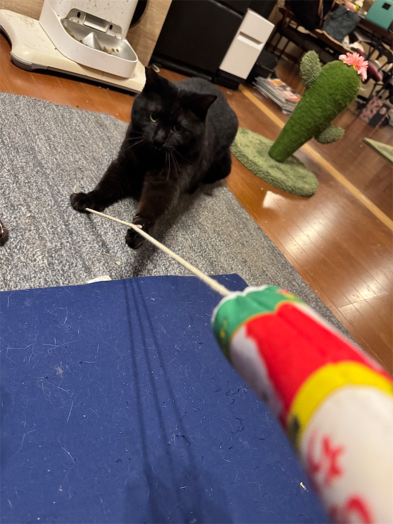 f:id:mp87:20250417212742j:image