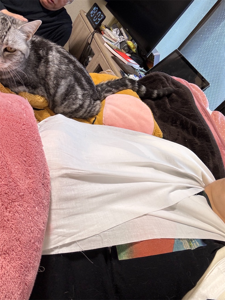 f:id:mp87:20250420185234j:image