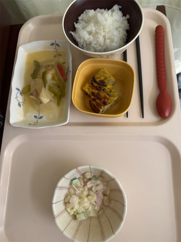 f:id:mp87:20250423184652j:image