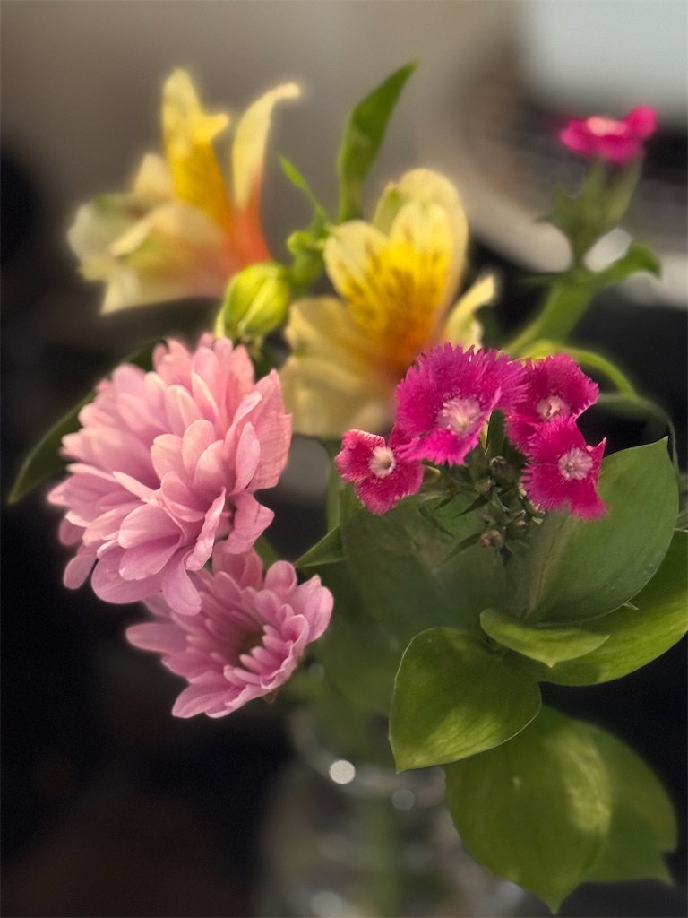f:id:mp87:20250429205919j:image