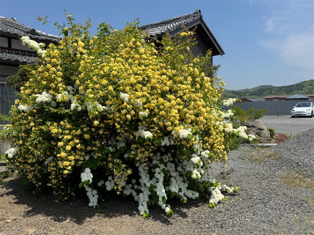 f:id:mp87:20250501203709j:image