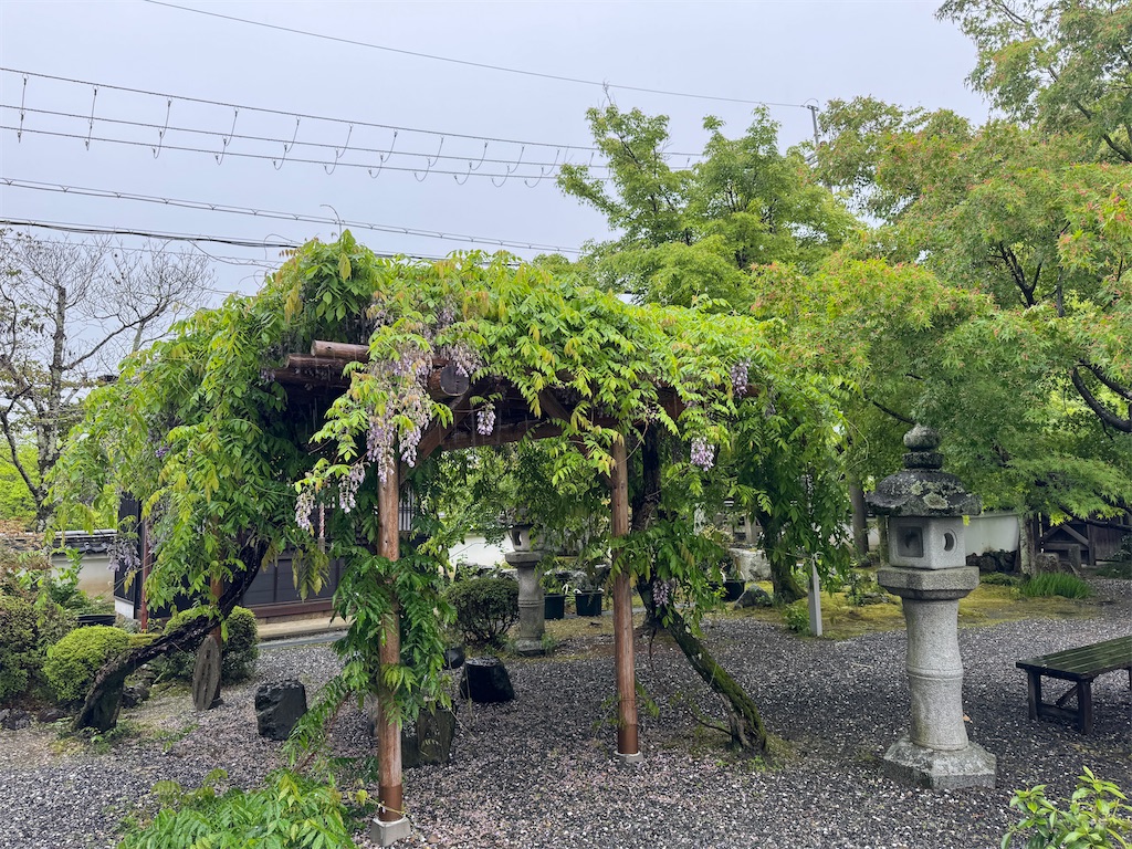 f:id:mp87:20250502211448j:image