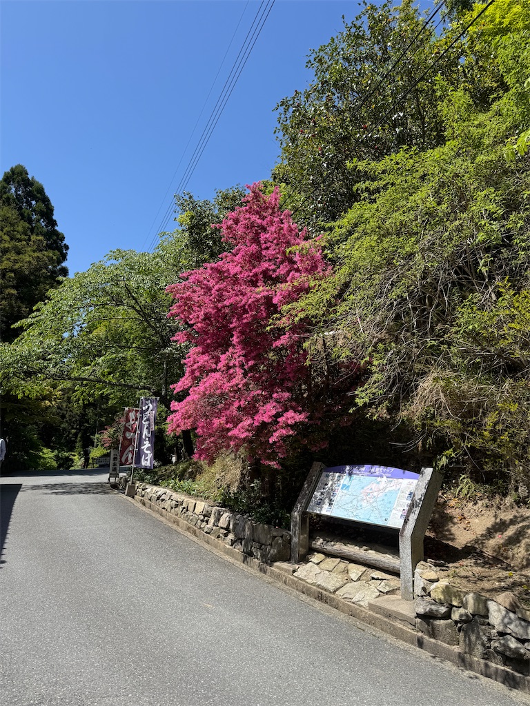 f:id:mp87:20250505202222j:image