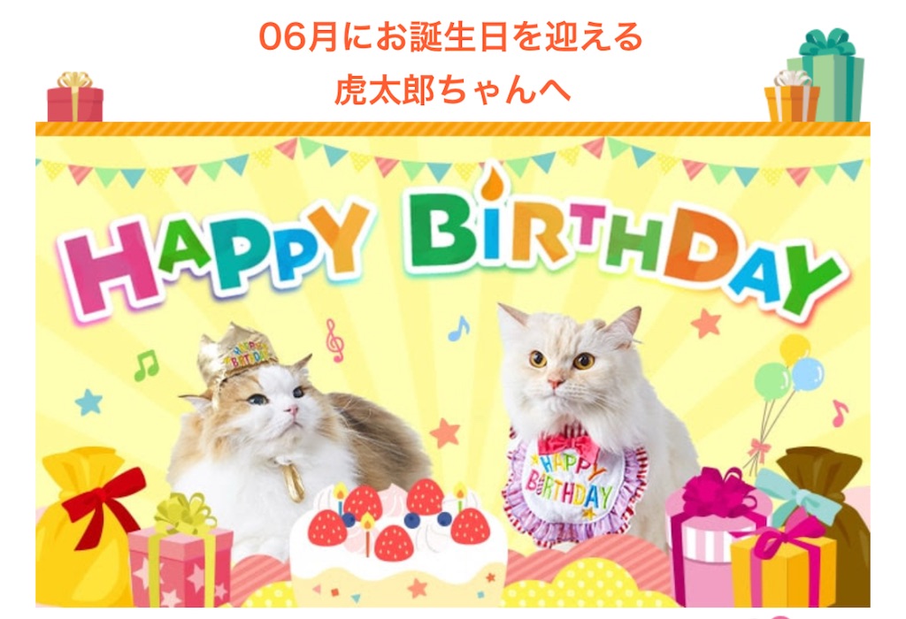 f:id:mp87:20250602225937j:image