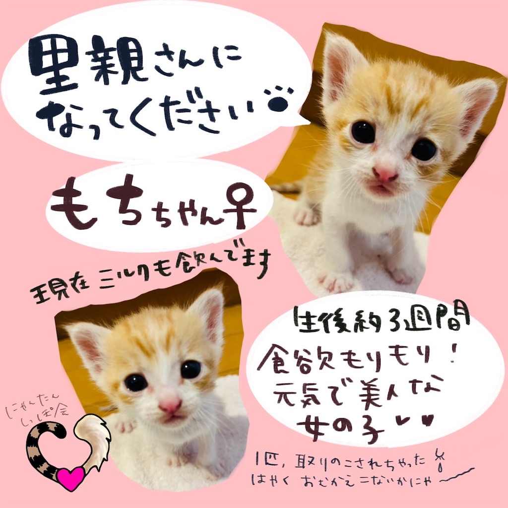 f:id:mp87:20250605212916j:image