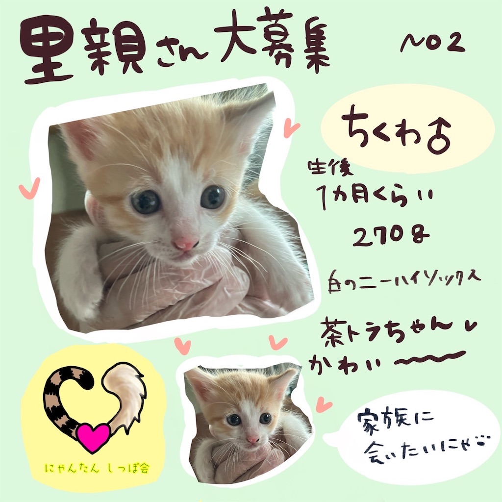 f:id:mp87:20250605213220j:image