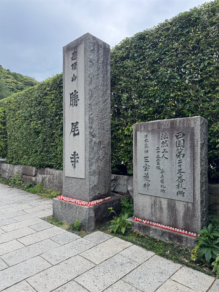 f:id:mp87:20250607210802j:image