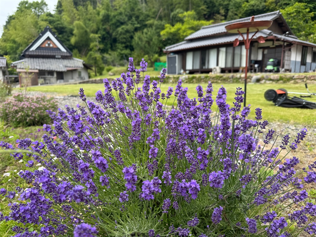 f:id:mp87:20250608204526j:image